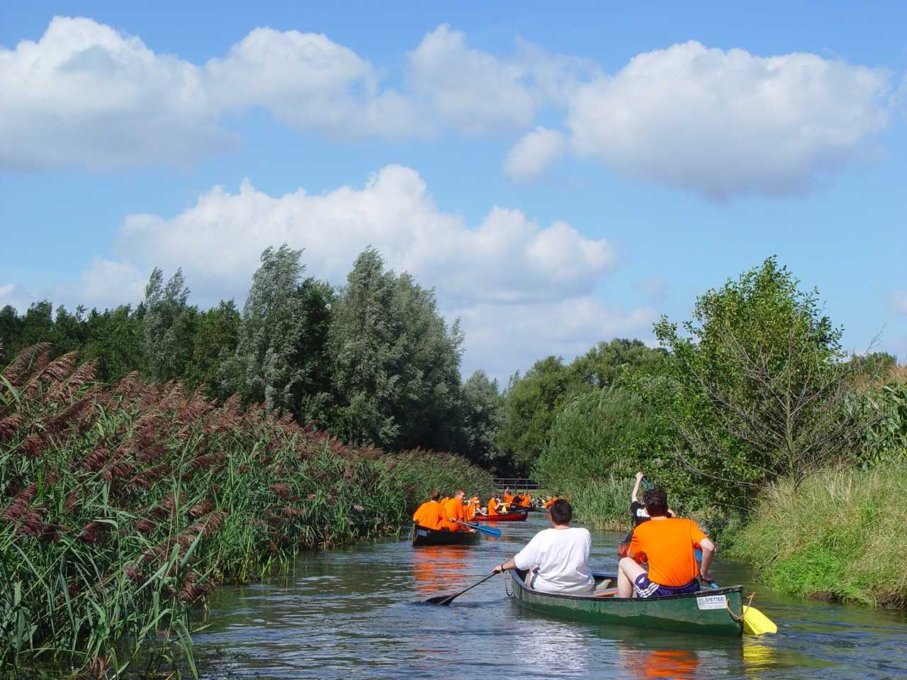 overzichtsplaatje