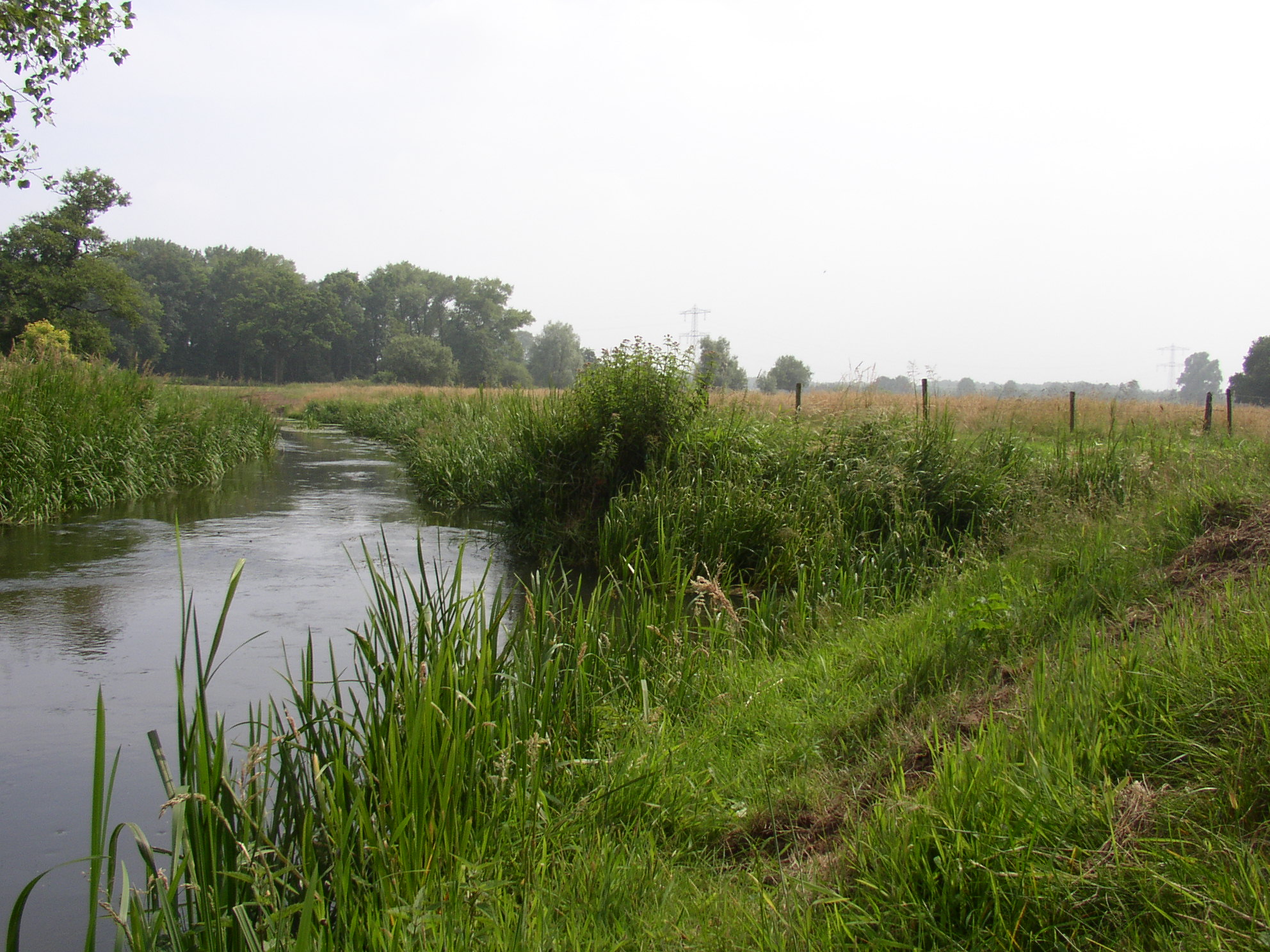 samenkomst_run_dommel